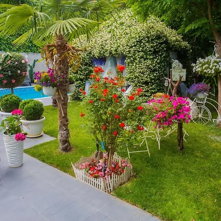 Villa ***Green Dream***- Villa In Split *