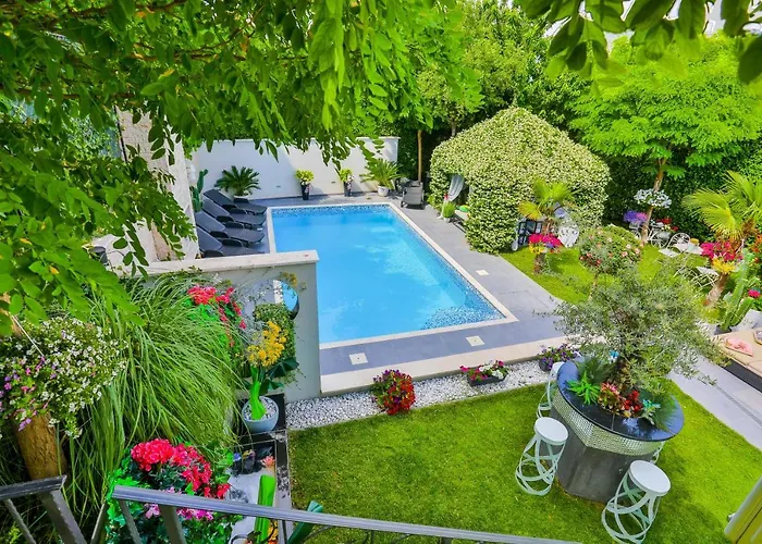 ***green Dream***- In