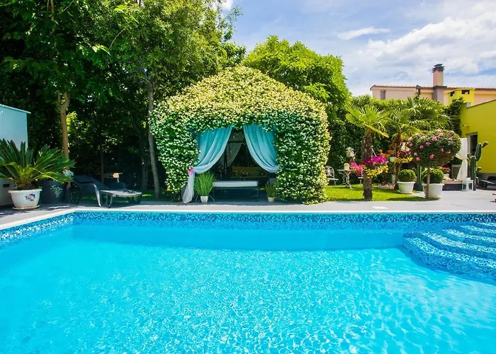 ***green Dream***- In *