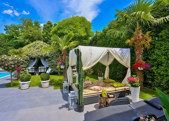 ***green Dream***- In * Сплит