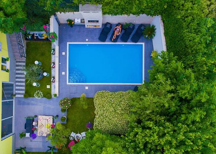 ***green Dream***- In ספליט