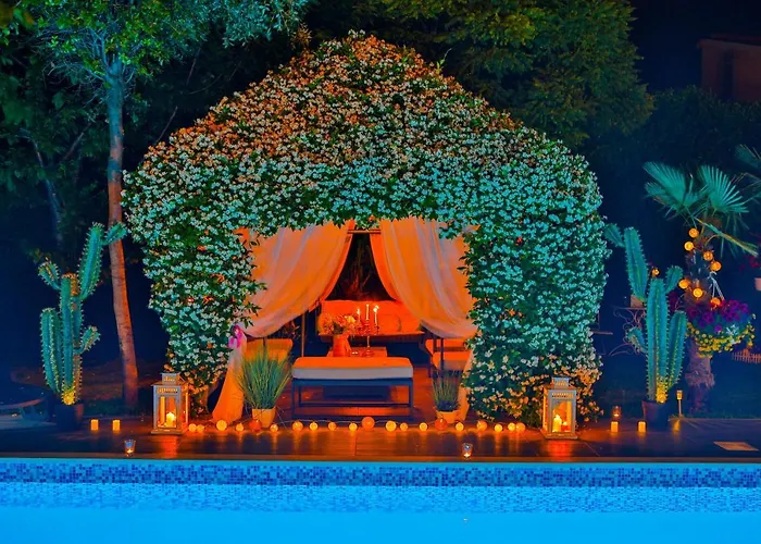 ***green Dream***- In ספליט